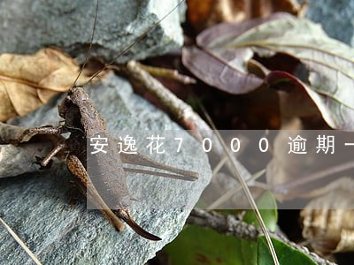 安逸花7000逾期一年 安逸花7000逾期一年