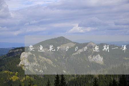 安逸花9000逾期一年利息多少 安逸花9000逾期一年利息多少