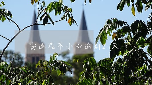 安逸花不小心逾期2天 安逸花不小心逾期2天