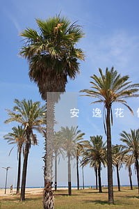 安逸花借25000逾期 安逸花借25000逾期