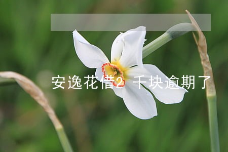 安逸花借2千块逾期了