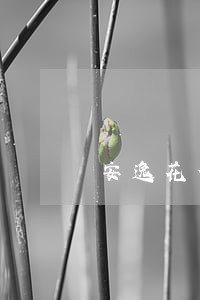 安逸花借3000逾期了