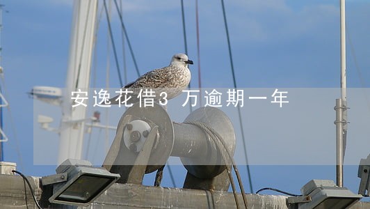 安逸花借3万逾期一年 安逸花借3万逾期一年