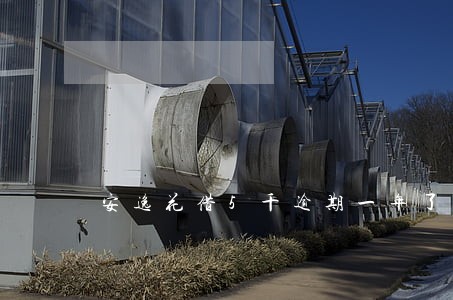 安逸花借5千逾期一年了 安逸花借5千逾期一年了