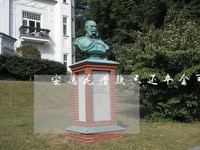 安逸花借款只还本金可以吗 安逸花借款只还本金可以吗