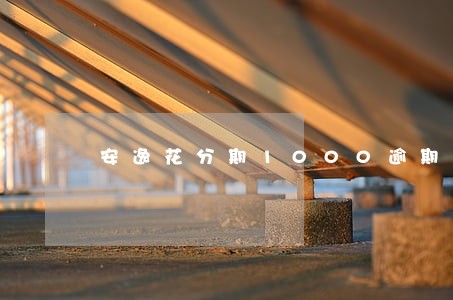 安逸花分期1000逾期 安逸花分期1000逾期