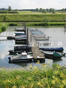 安逸花协商只还本金 安逸花协商只还本金