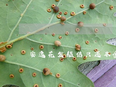 安逸花发短信只还本金 安逸花发短信只还本金