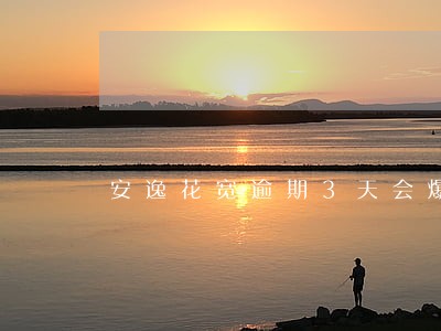 安逸花宽逾期3天会爆吗