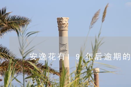 安逸花有19年后逾期的吗