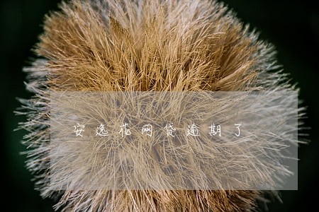 安逸花网贷逾期了 安逸花网贷逾期了