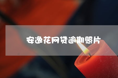 安逸花网贷逾期照片