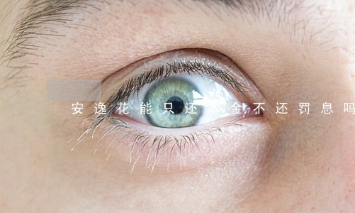 安逸花能只还本金不还罚息吗 安逸花能只还本金不还罚息吗