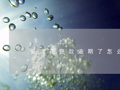 安逸花贷款逾期了怎么办 安逸花贷款逾期了怎么办