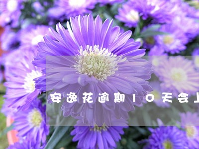 安逸花逾期10天会上征信吗 安逸花逾期10天会上征信吗