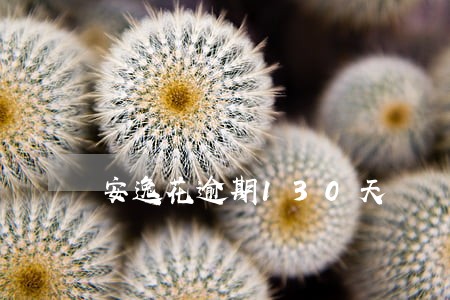 安逸花逾期130天 安逸花逾期130天