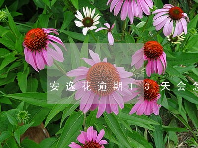 安逸花逾期13天会怎样 安逸花逾期13天会怎样