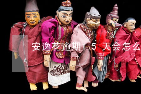 安逸花逾期15天会怎么样 安逸花逾期15天会怎么样