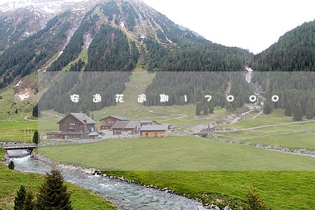 安逸花逾期17000