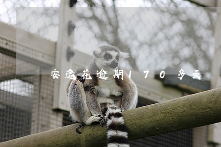 安逸花逾期170多天 安逸花逾期170多天