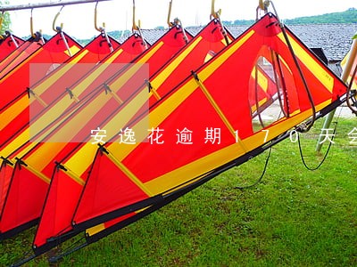 安逸花逾期170天会上门吗 安逸花逾期170天会上门吗