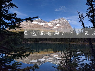 安逸花逾期170天会怎么样