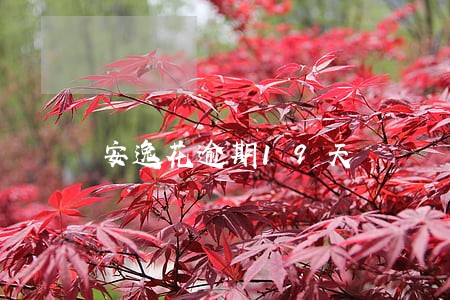 安逸花逾期19天 安逸花逾期19天