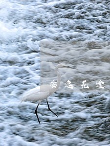 安逸花逾期1一月 安逸花逾期1一月