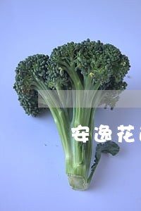 安逸花逾期1天还能借吗 安逸花逾期1天还能借吗