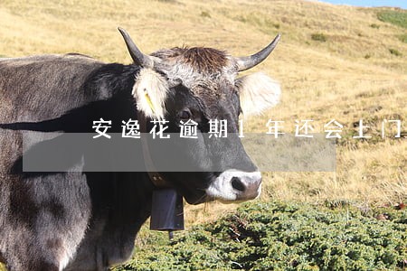 安逸花逾期1年还会上门吗 安逸花逾期1年还会上门吗
