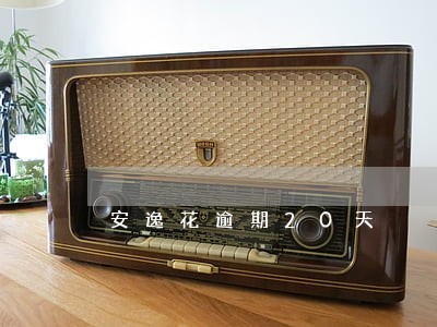 安逸花逾期20天 安逸花逾期20天