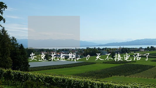 安逸花逾期20天不接电话了