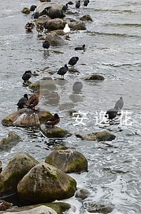 安逸花逾期22天说走法律程序 安逸花逾期22天说走法律程序