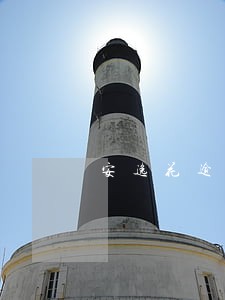 安逸花逾期2万 安逸花逾期2万