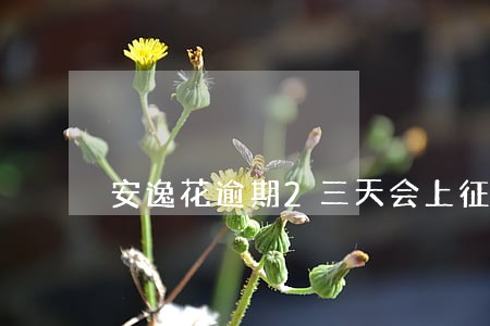 安逸花逾期2三天会上征信吗 安逸花逾期2三天会上征信吗
