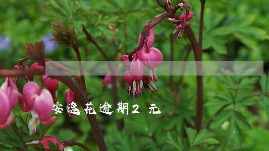 安逸花逾期2元 安逸花逾期2元