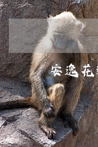 安逸花逾期2天上征信吗 安逸花逾期2天上征信吗