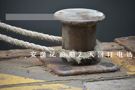 安逸花逾期2天回打电话么 安逸花逾期2天回打电话么