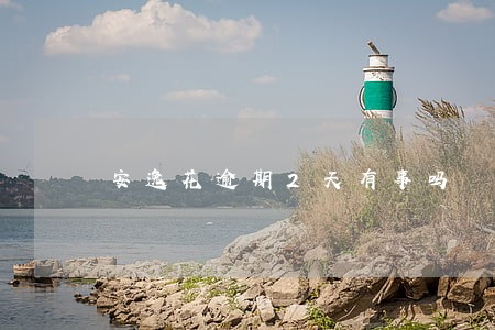 安逸花逾期2天有事吗 安逸花逾期2天有事吗