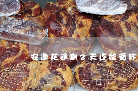 安逸花逾期2天还能循环用吗 安逸花逾期2天还能循环用吗