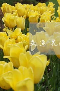 安逸花逾期30天后收到 安逸花逾期30天后收到