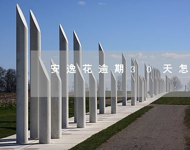 安逸花逾期30天怎么办 安逸花逾期30天怎么办