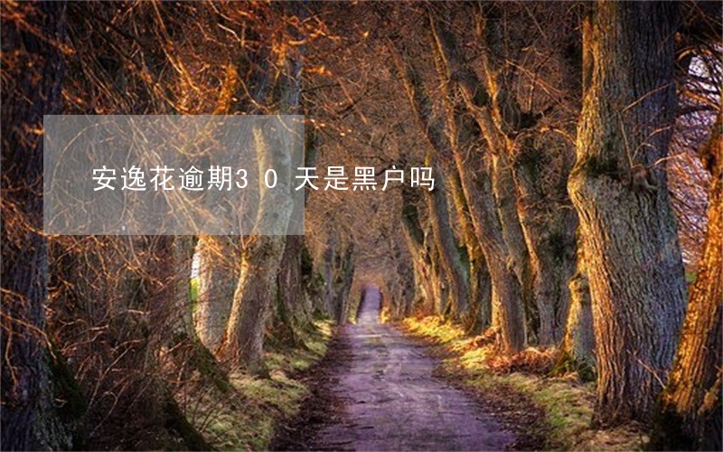 安逸花逾期30天是黑户吗 安逸花逾期30天是黑户吗