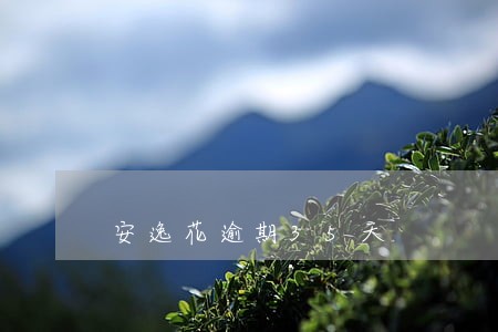 安逸花逾期35天 安逸花逾期35天
