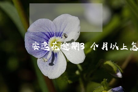 安逸花逾期3个月以上怎么办 安逸花逾期3个月以上怎么办