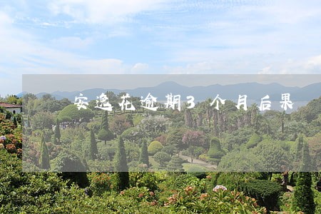 安逸花逾期3个月后果 安逸花逾期3个月后果
