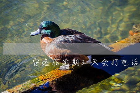 安逸花逾期3天会打电话吗 安逸花逾期3天会打电话吗