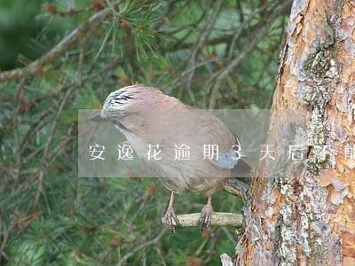 安逸花逾期3天后不能借 安逸花逾期3天后不能借