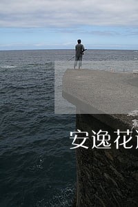 安逸花逾期3天多久还能借