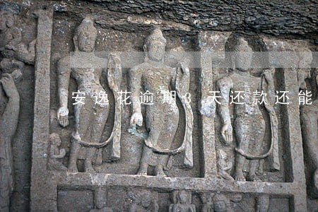 安逸花逾期3天还款还能借吗 安逸花逾期3天还款还能借吗
